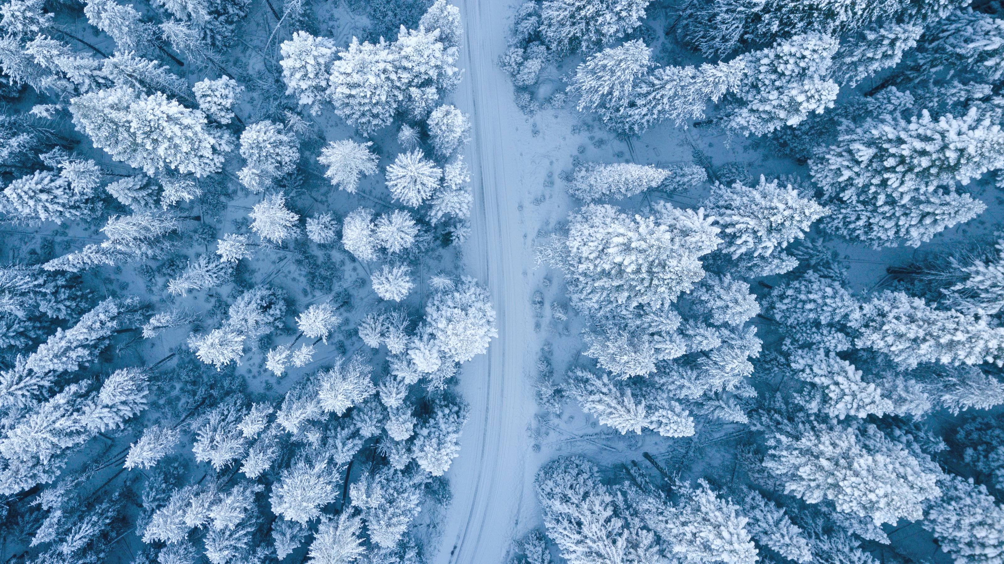 Snowbirds: Simplify Your Journey with Fast Auto Mover